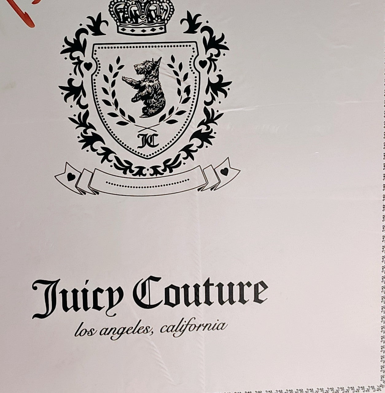 Juicy Couture White and Turquoise Camera Bag Set Box